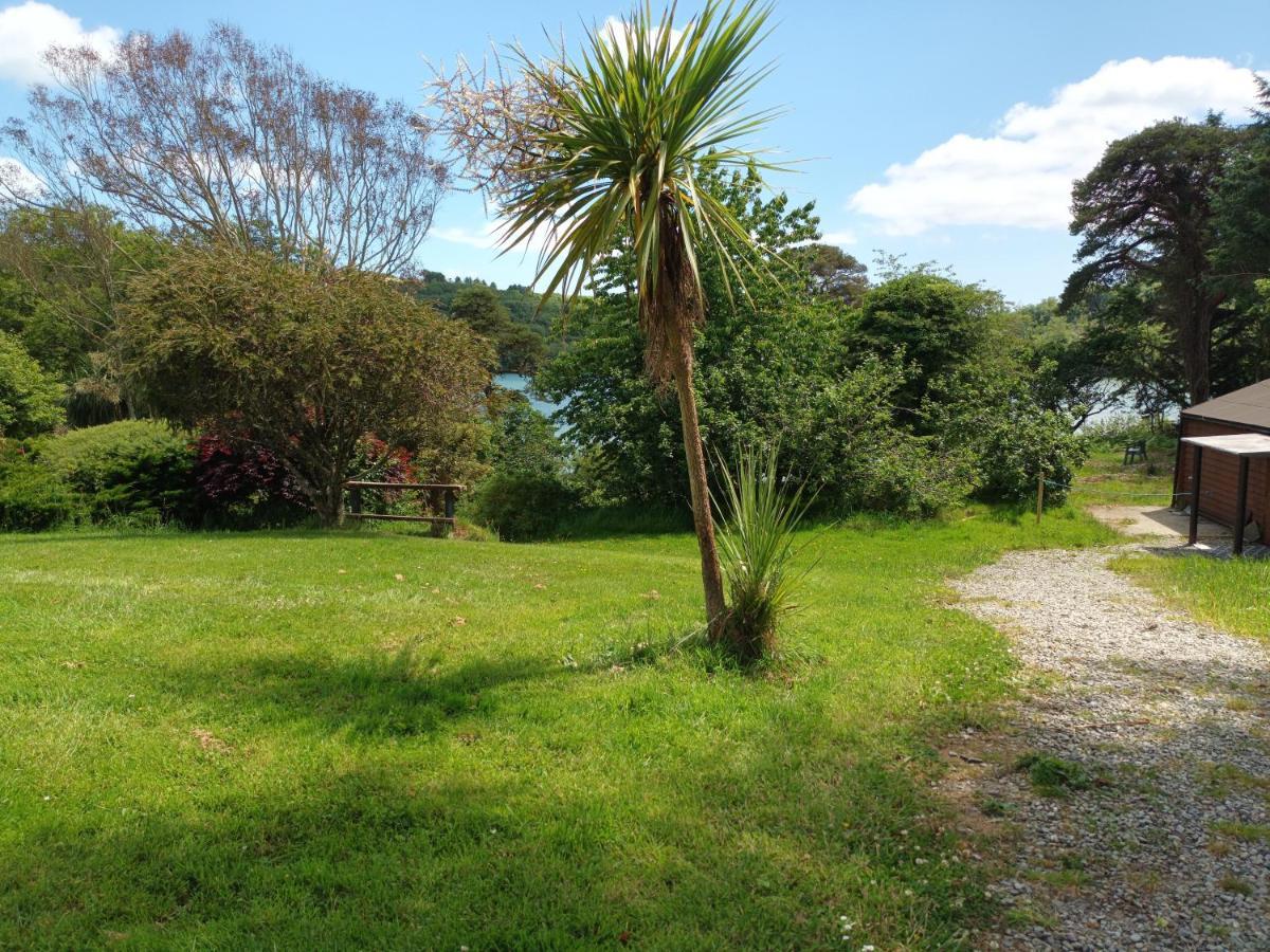 Sea View 1-Bed Cottage With Private Garden Skibbereen Exteriér fotografie