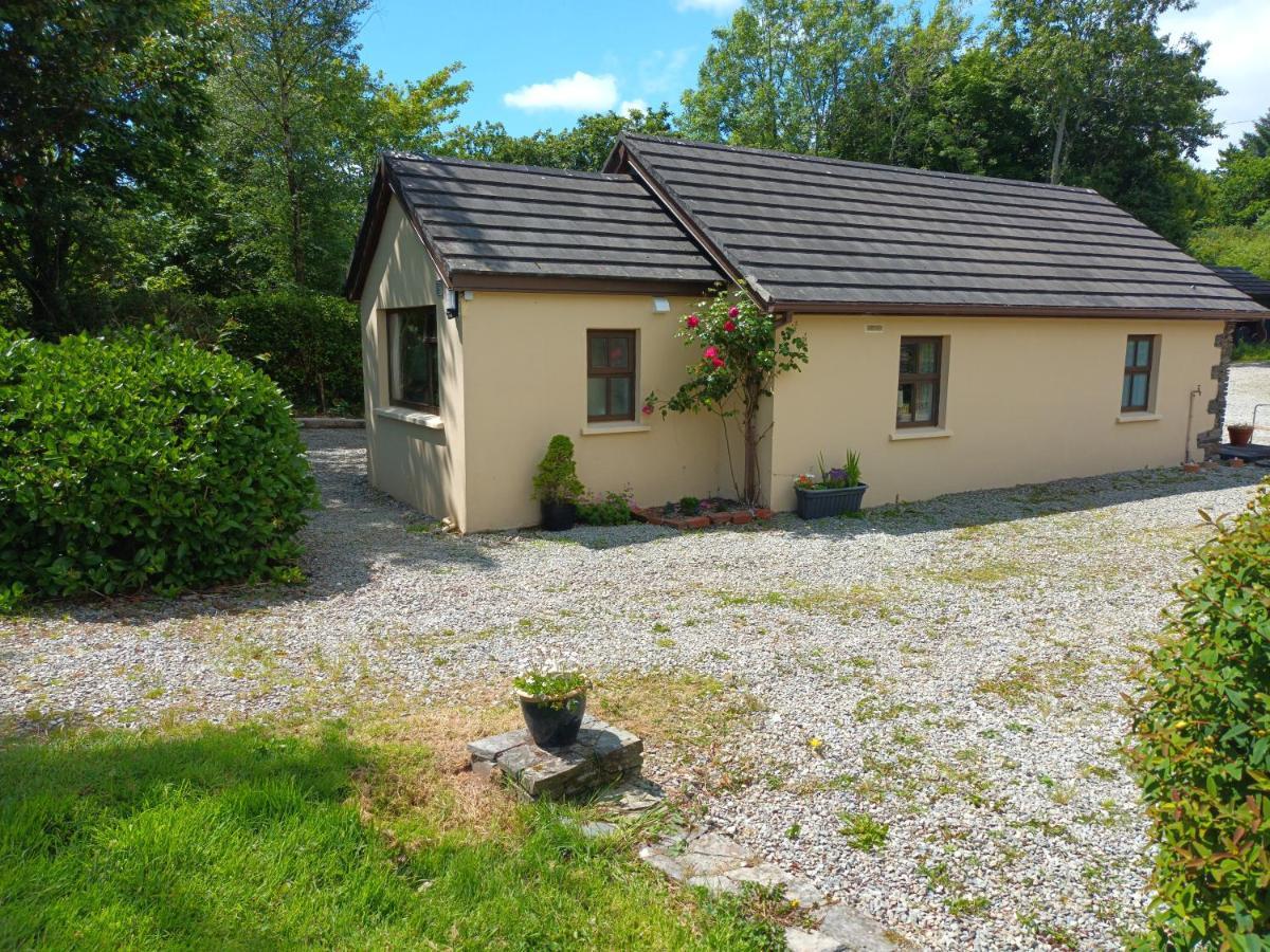 Sea View 1-Bed Cottage With Private Garden Skibbereen Exteriér fotografie