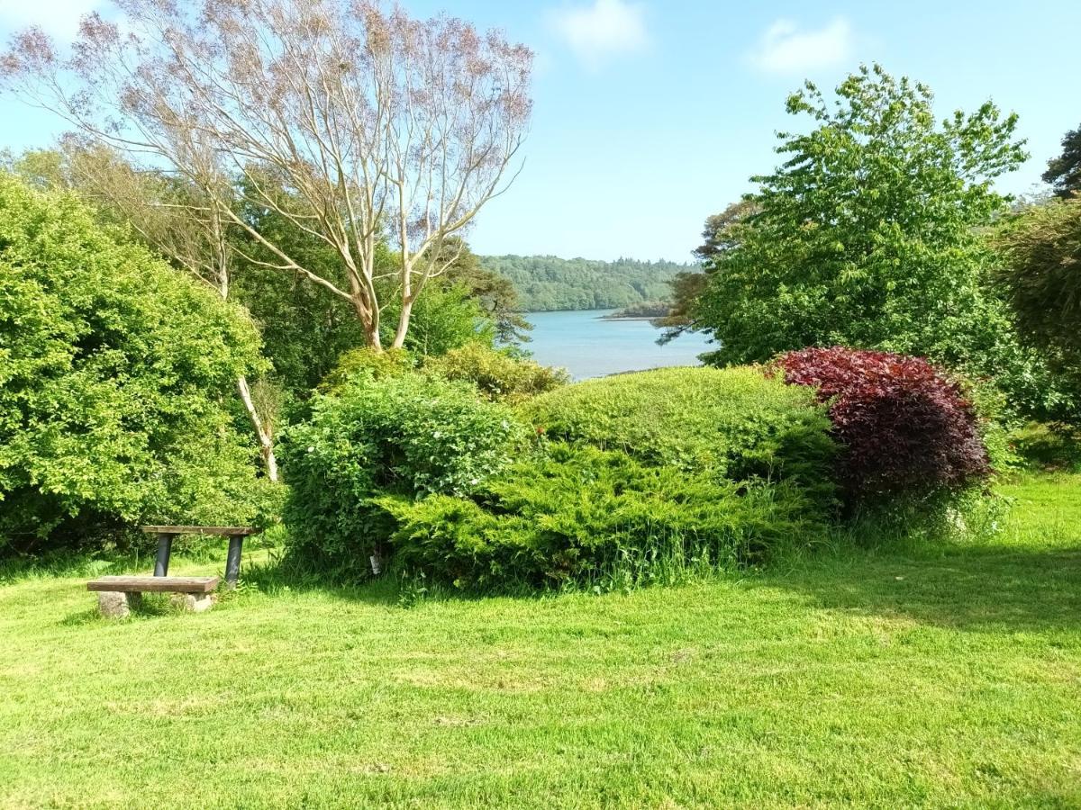 Sea View 1-Bed Cottage With Private Garden Skibbereen Exteriér fotografie