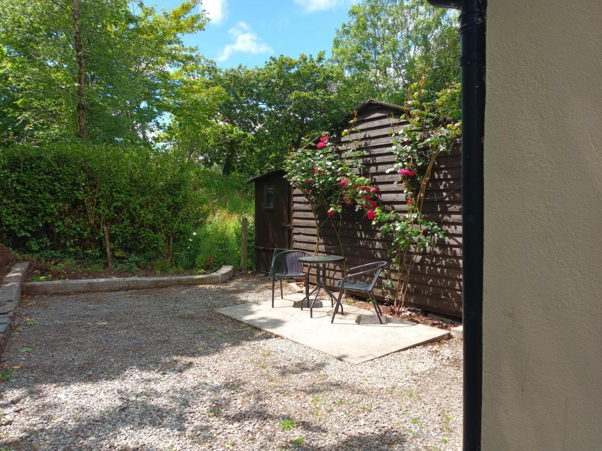 Sea View 1-Bed Cottage With Private Garden Skibbereen Exteriér fotografie