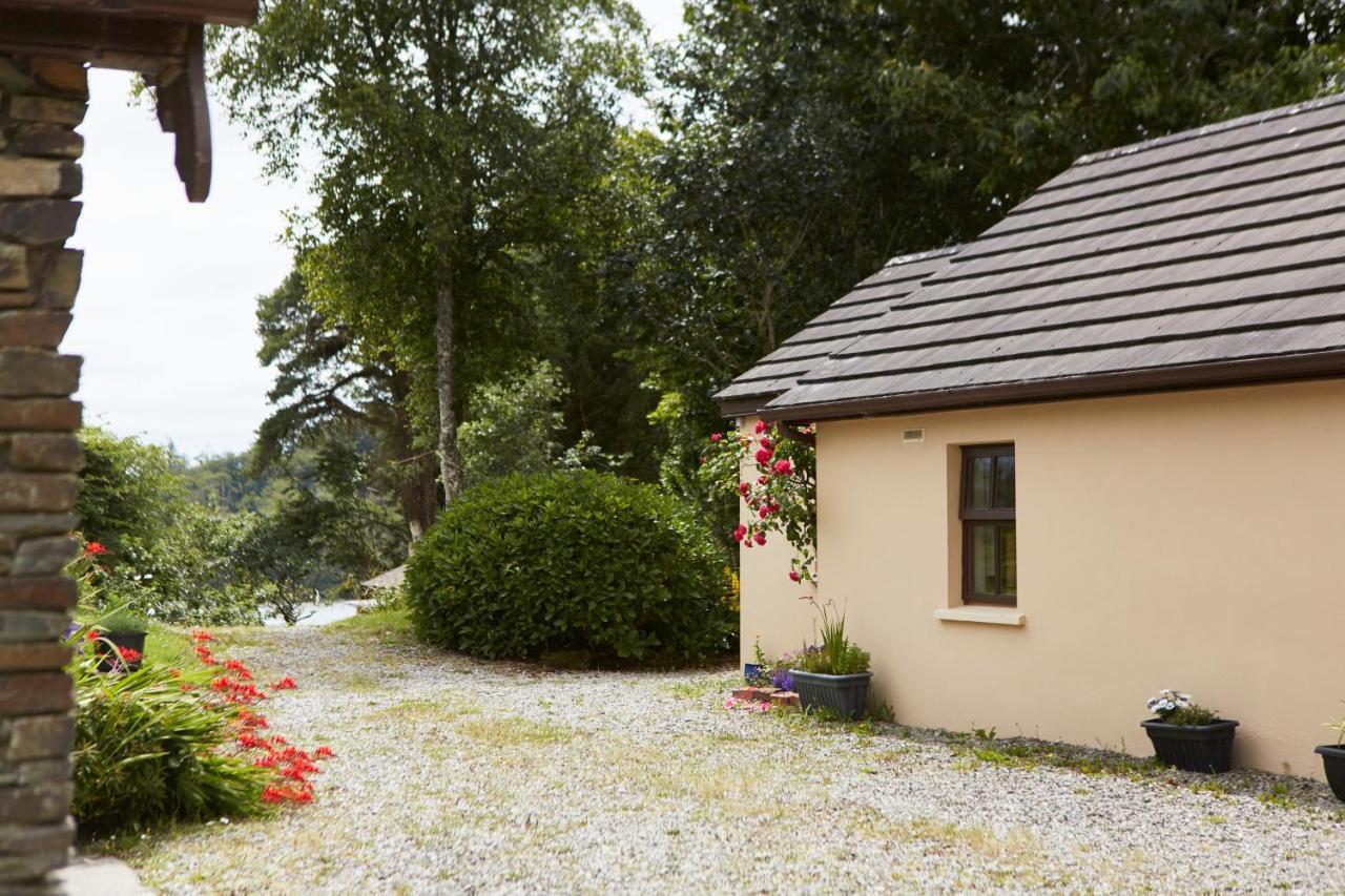 Sea View 1-Bed Cottage With Private Garden Skibbereen Exteriér fotografie