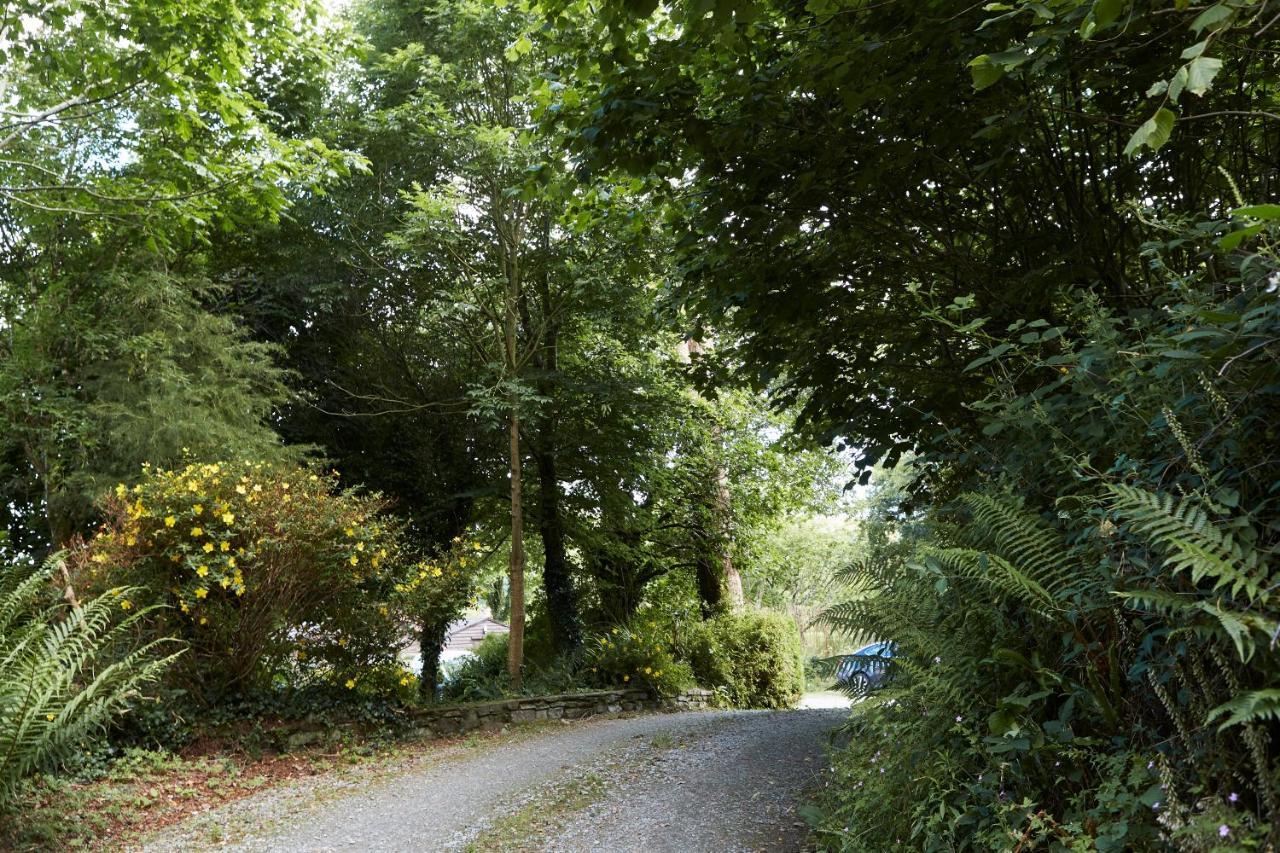Sea View 1-Bed Cottage With Private Garden Skibbereen Exteriér fotografie