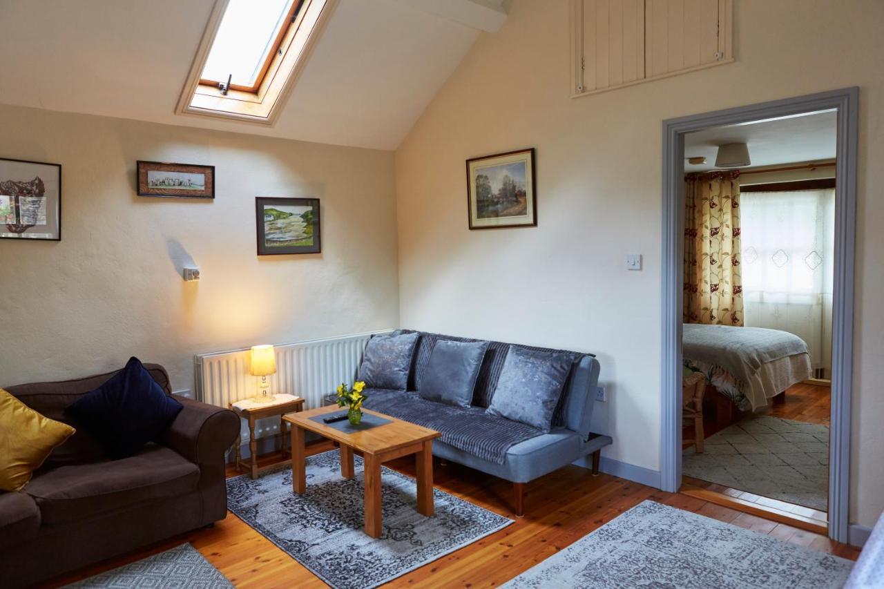 Sea View 1-Bed Cottage With Private Garden Skibbereen Exteriér fotografie